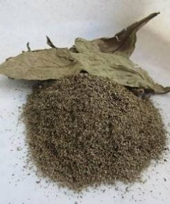 Buy Psychotria viridis (chacruna) leaves are a classic source in ayahuasca brews